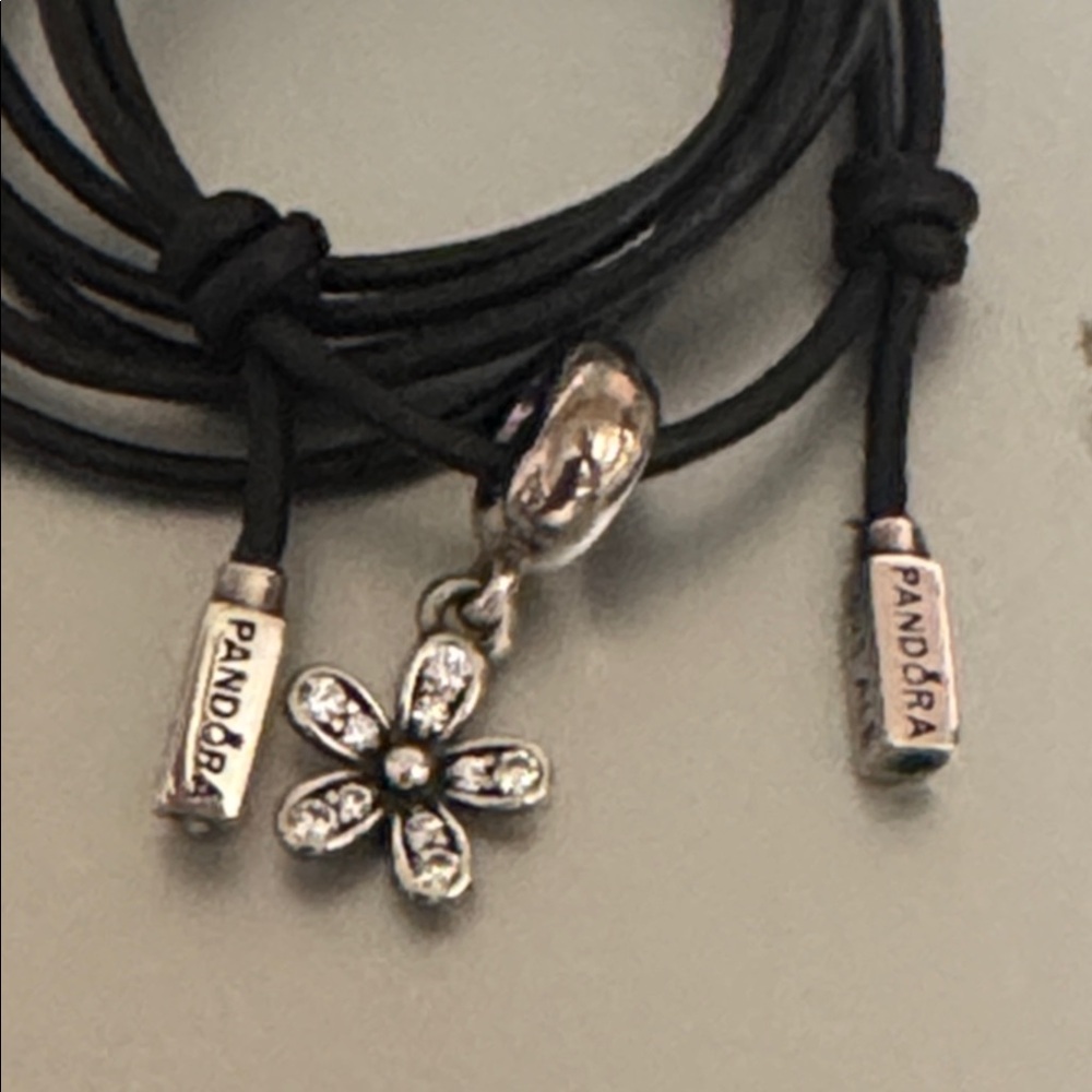 Pandora necklace with charm